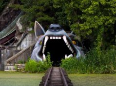 Spreepark, le parc d’attractions abandonné de Berlin Spreepark parc d'attractions abandonné Berlin